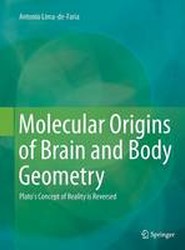 Molecular Origins of Brain and Body Geometry