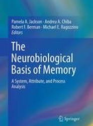 The Neurobiological Basis of Memory
