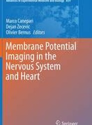 Membrane Potential Imaging in the Nervous System and Heart