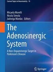 The Adenosinergic System