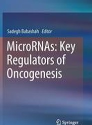MicroRNAs: Key Regulators of Oncogenesis
