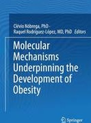 Molecular Mechanisms Underpinning the Development of Obesity