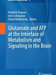 Glutamate and ATP at the Interface of Metabolism and Signaling in the Brain