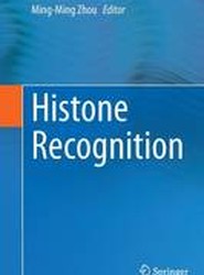 Histone Recognition