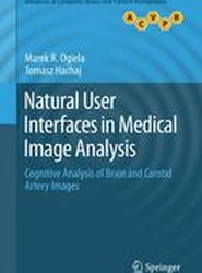 Natural User Interfaces in Medical Image Analysis