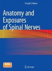 Anatomy and Exposures of Spinal Nerves