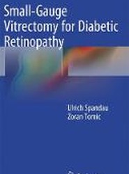 Small-Gauge Vitrectomy for Diabetic Retinopathy