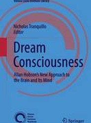 Dream Consciousness