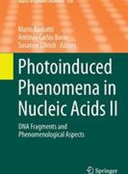 Photoinduced Phenomena in Nucleic Acids II