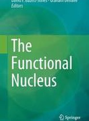 The Functional Nucleus