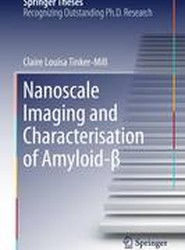 Nanoscale Imaging and Characterisation of Amyloid-