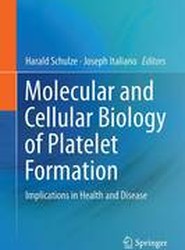 Molecular and Cellular Biology of Platelet Formation