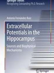 Extracellular Potentials in the Hippocampus