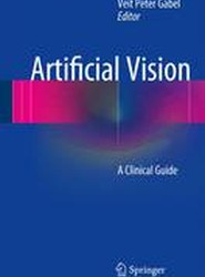 Artificial Vision