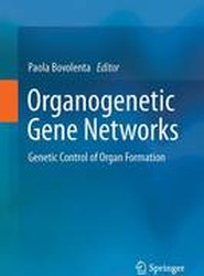 Organogenetic Gene Networks