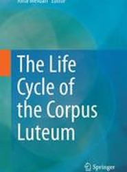 The Life Cycle of the Corpus Luteum