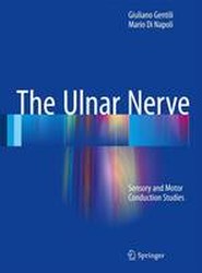 The Ulnar Nerve