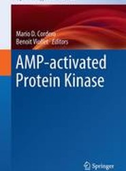AMP-activated Protein Kinase