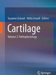 Cartilage