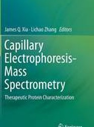 Capillary Electrophoresis-Mass Spectrometry