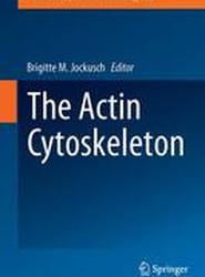 The Actin Cytoskeleton