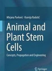 Animal and Plant Stem Cells