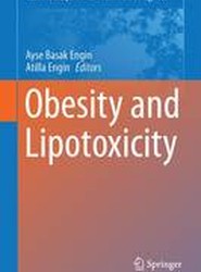 Obesity and Lipotoxicity