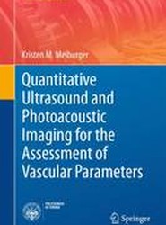 Quantitative Ultrasound and Photoacoustic Imaging for the Assessment of Vascular Parameters