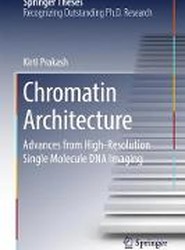 Chromatin Architecture