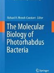 The Molecular Biology of Photorhabdus Bacteria
