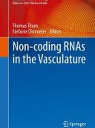 Non-coding RNAs in the Vasculature