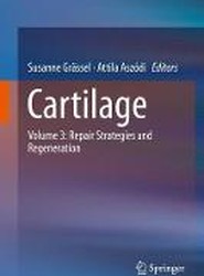 Cartilage