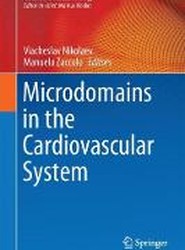 Microdomains in the Cardiovascular System