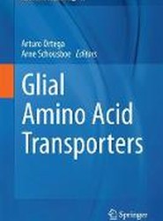 Glial Amino Acid Transporters