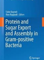 Protein and Sugar Export and Assembly in Gram-positive Bacteria