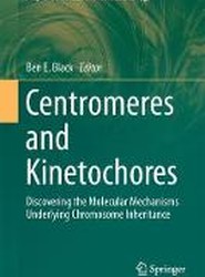 Centromeres and Kinetochores