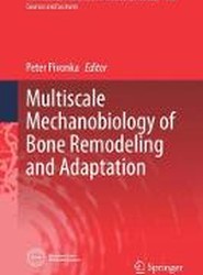 Multiscale Mechanobiology of Bone Remodeling and Adaptation