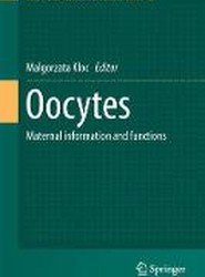 Oocytes