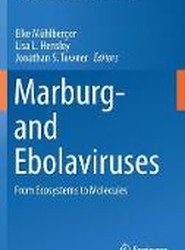 Marburg- and Ebolaviruses