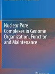 Nuclear Pore Complexes in Genome Organization, Function and Maintenance