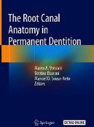 The Root Canal Anatomy in Permanent Dentition