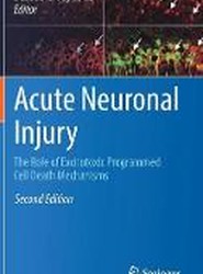 Acute Neuronal Injury