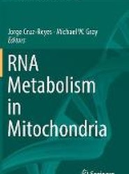 RNA Metabolism in Mitochondria
