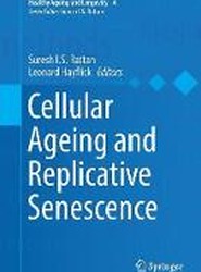 Cellular Ageing and Replicative Senescence
