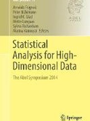 Statistical Analysis for High-Dimensional Data