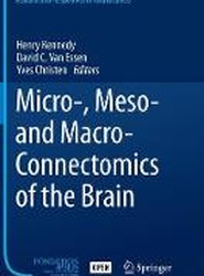Micro-, Meso- and Macro-Connectomics of the Brain