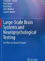 Large-Scale Brain Systems and Neuropsychological Testing