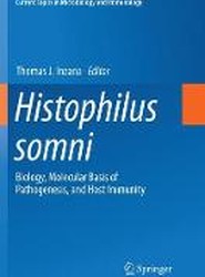 Histophilus somni