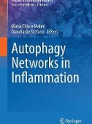 Autophagy Networks in Inflammation