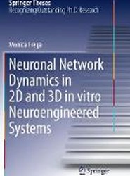 Neuronal Network Dynamics in 2D and 3D in vitro Neuroengineered Systems